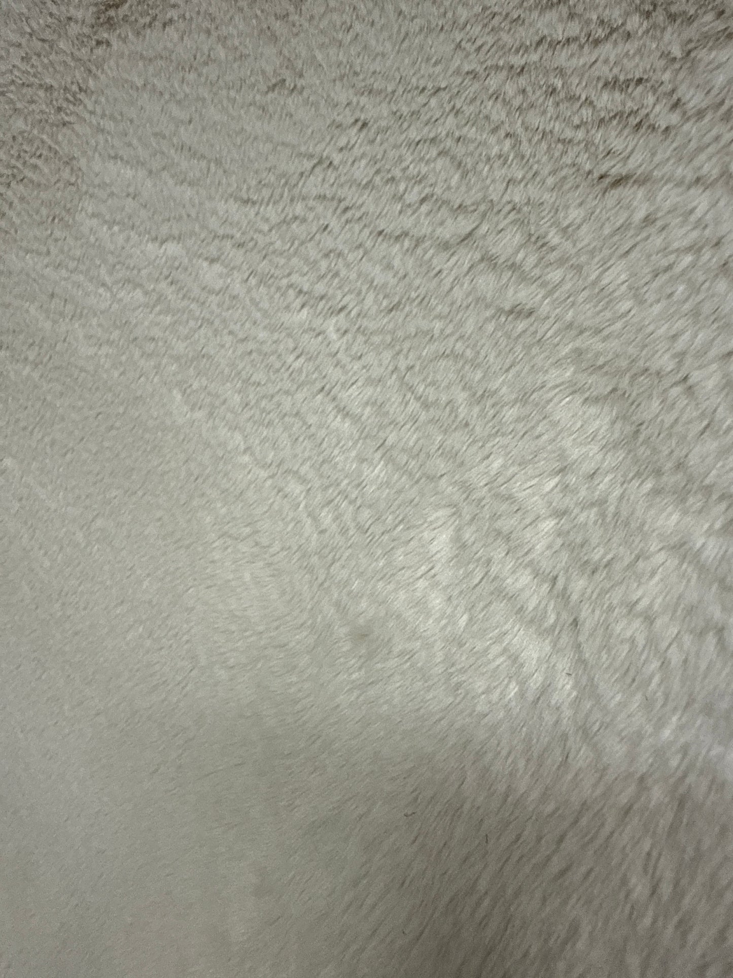 Foxy beige