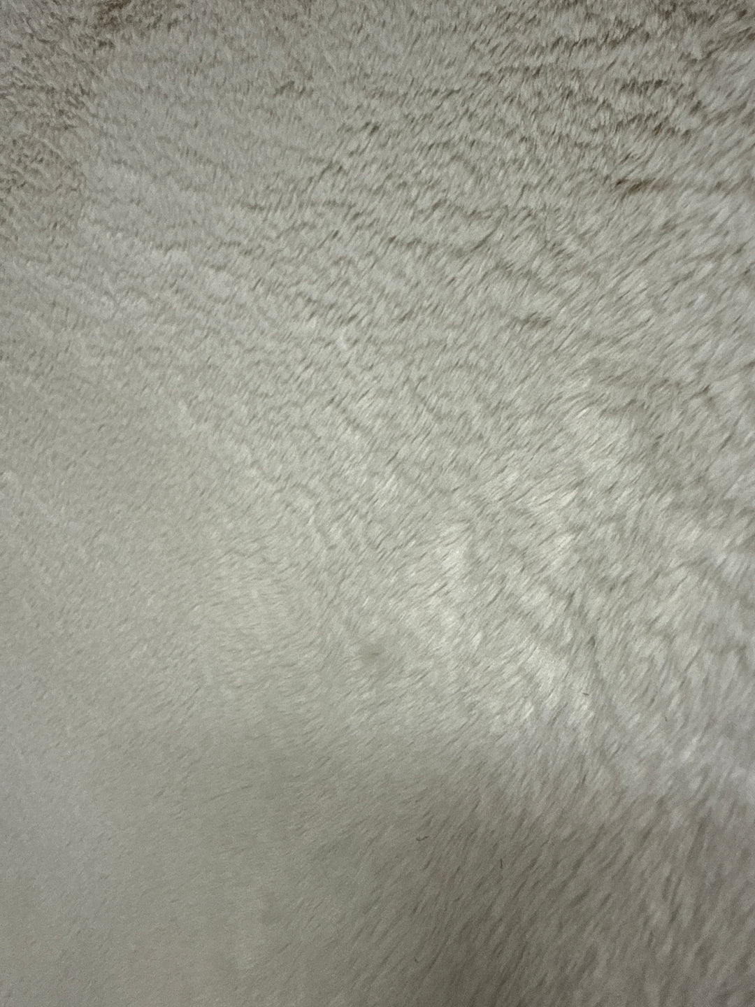Foxy taupe